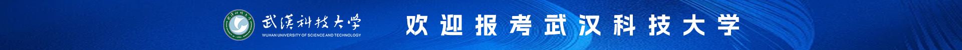 武汉科技大学